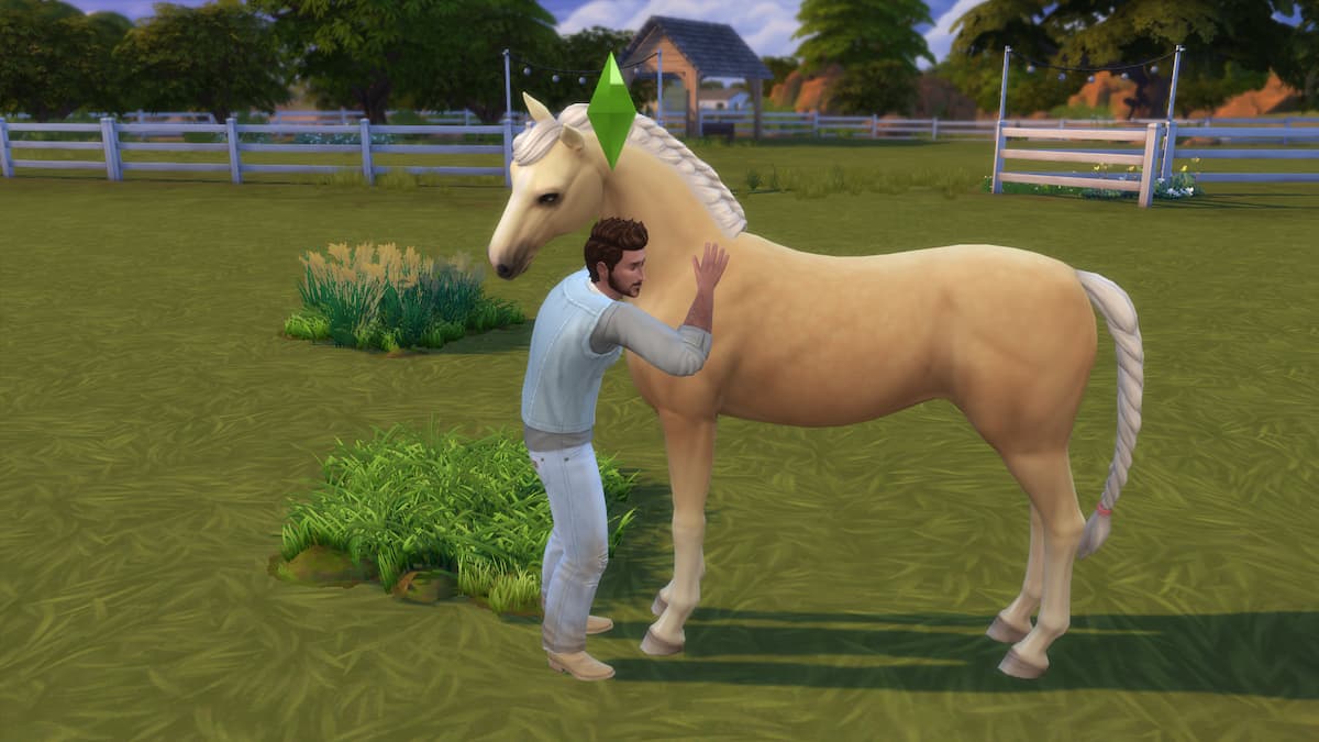 Gameplay in The Sims 4: Horse Ranch