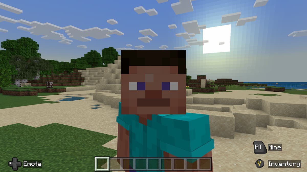 How old is Steve from Minecraft