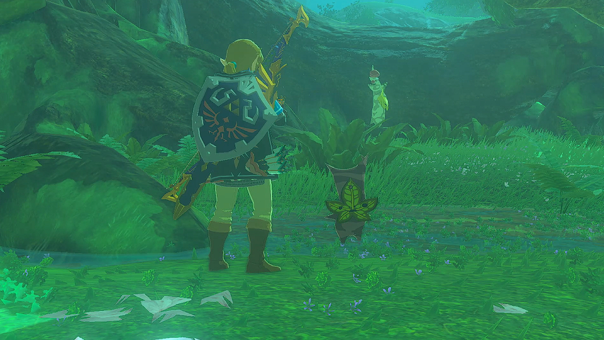 How to Complete Whirly Swirly Things Quest in Zelda: Tears of the Kingdom
